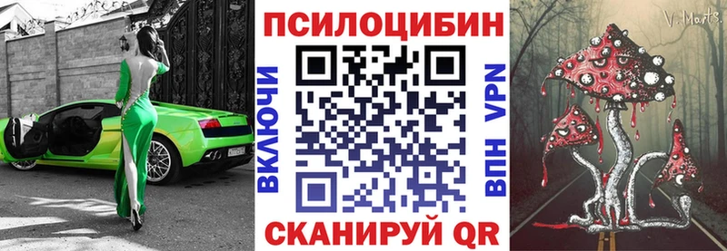 Псилоцибиновые грибы ЛСД  дарнет шоп  Елец 